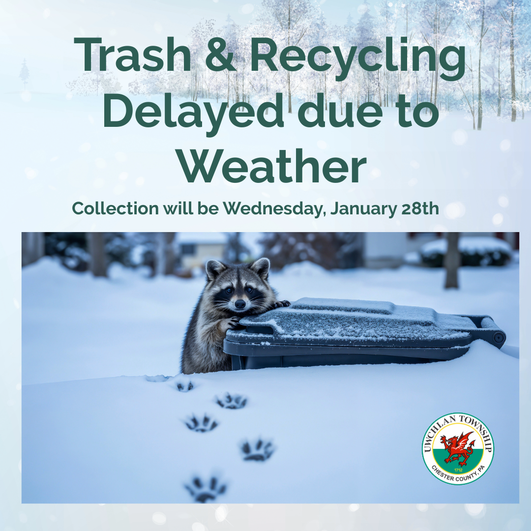 Image of racoon on snowy trash can with wording that says trash is delayed 