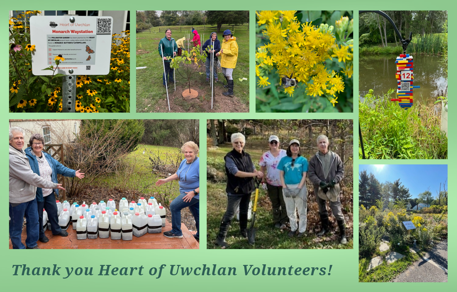 Heart of Uwchlan Collage